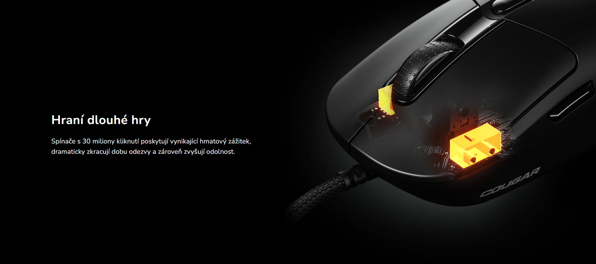 Snímek obrazovky 2026-03-24 113002